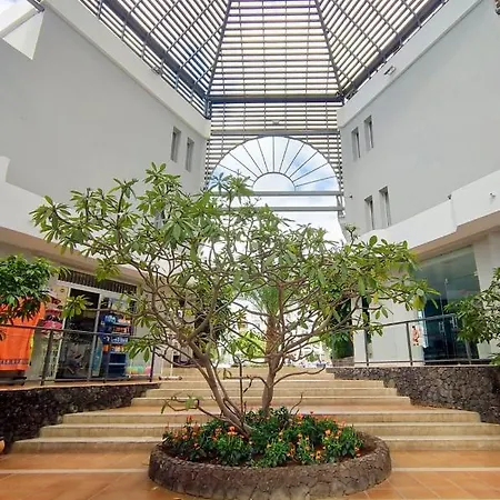 Apartment Estudio Con Encanto, Wifi, Piscina, Cerca Playa En Los Cristianos, Tenerife Sur