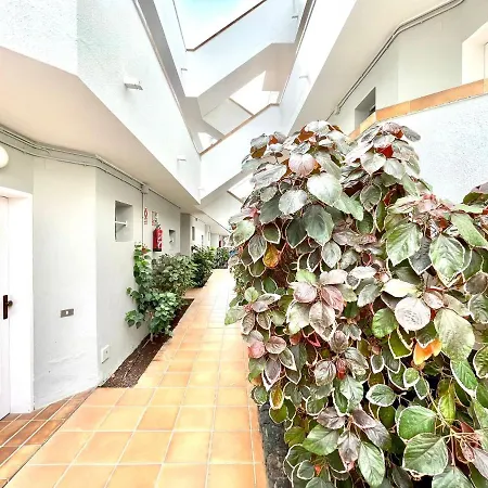 Estudio Con Encanto, Wifi, Piscina, Cerca Playa En Los Cristianos, Tenerife Sur Apartment Los Cristianos (Tenerife)